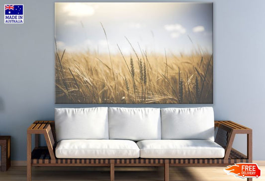 Misty Grass Field Photograph Print 100% Australian Made