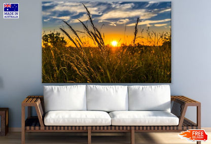 Sunset View Through Dry Grass Photograph Print 100% Australian Made