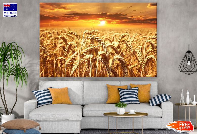 Wheat Field at Sunset Scenery Photograph Print 100% Australian Made