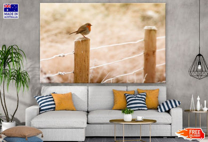 Small Bird on a Fence Photograph Print 100% Australian Made
