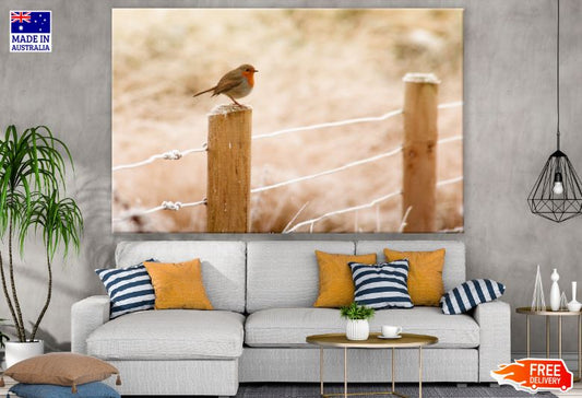 Small Bird on a Fence Photograph Print 100% Australian Made