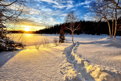 Snow Covered Ground at Sunset Photograph Print 100% Australian Made