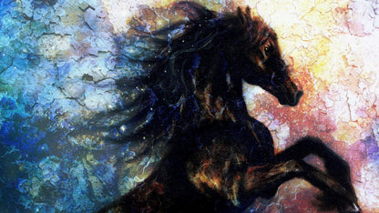 Black Horse Portrait Abstract Design Print 100% Australian Made