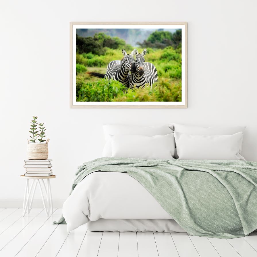 Zebras in Forest Photograph Home Decor Premium Quality Poster Print Choose Your Sizes