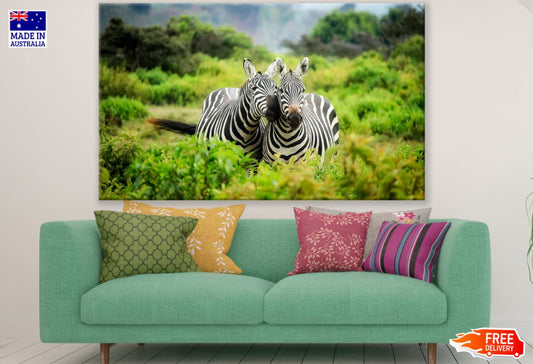 Zebras in Forest Photograph View Print 100% Australian Made